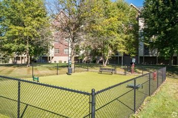 Outdoor pet run area